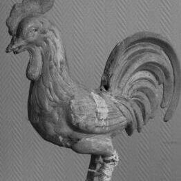 Le Coq de Puiseux