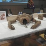 Quand Le Grenier Des Ateliers LORIN Livre Ses Secrets